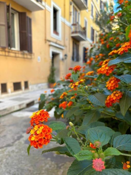La Casetta Trastevere ローマ エクステリア 写真
